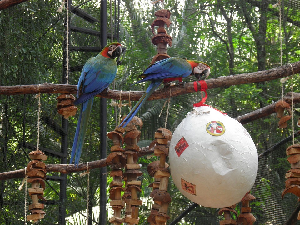 ... safe the birds ...