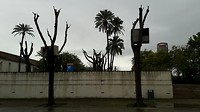 ... buiten-bomen-kunst ...