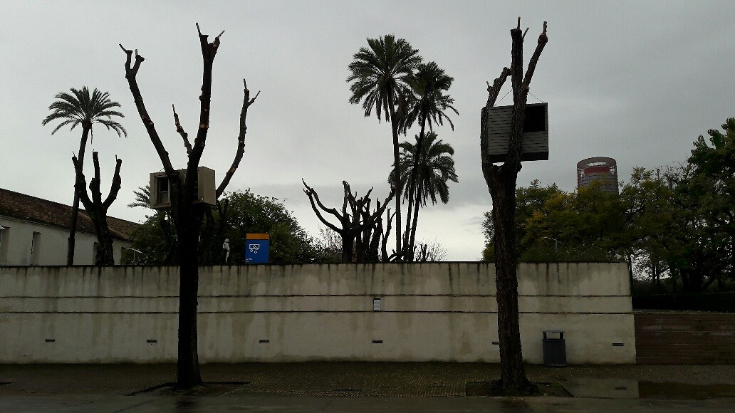 ... buiten-bomen-kunst ...