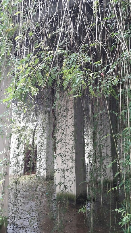 ... ecologische kunst ...