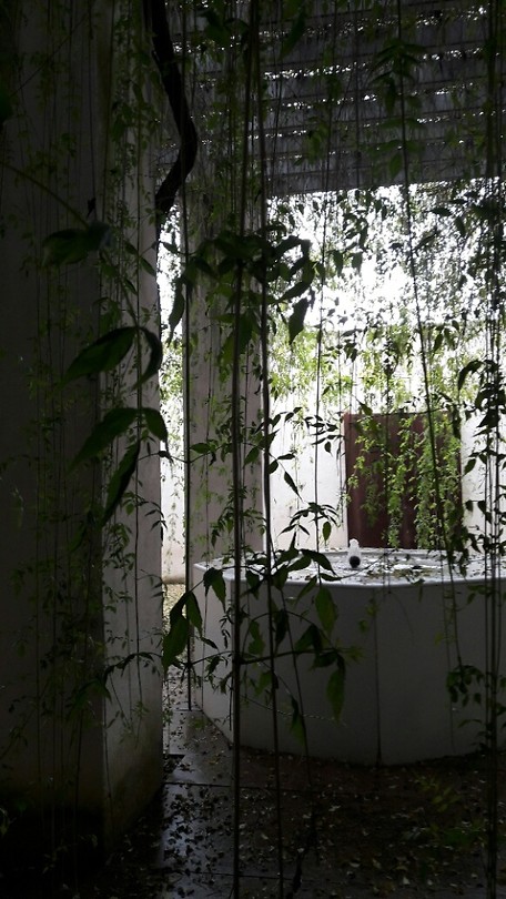 ... als een jungle ...