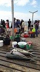 ... vis, vis, vis ...