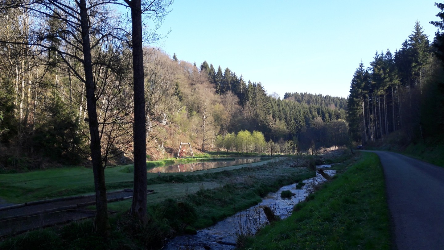 Dwars door de groene natuur