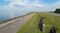 Hurkende man in verte