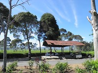 Theeplantage Malabar