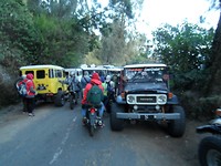 ... jeep, jeep, jeep ... joera