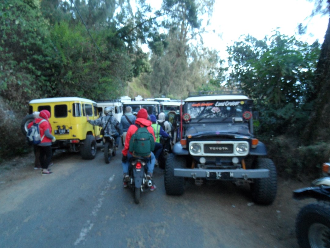 ... jeep, jeep, jeep ... joera