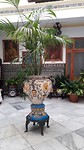 ... in de patio van Don Bosco ...