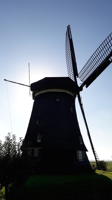 Molen Corneliszoon aan Langedijk, Uitgeest