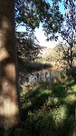 Zuidwijkermeer, puur natuur