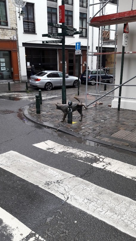 Tegen de 'Amsterdammertjes'