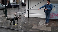 Kijk nou (uit)!