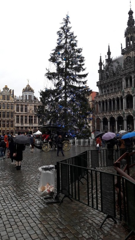 Grote Markt, Grote Boom