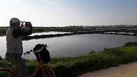 Zoutmeren en vogels