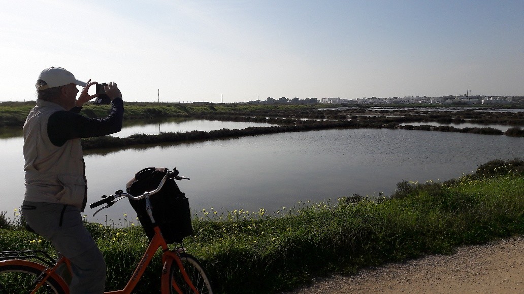 Zoutmeren en vogels