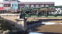 De trein haalt ons in