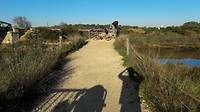 Ria Formosa