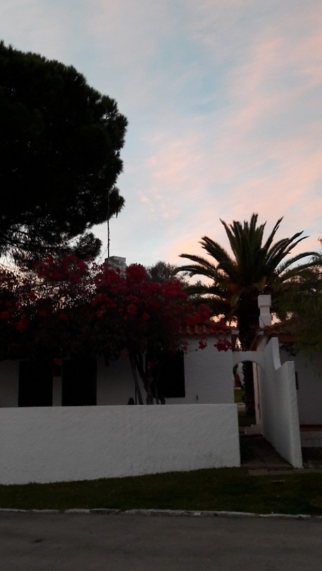 Zonsopkomst