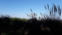 Bar(ril), mooi strand