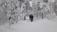Winterse wonderwandeling