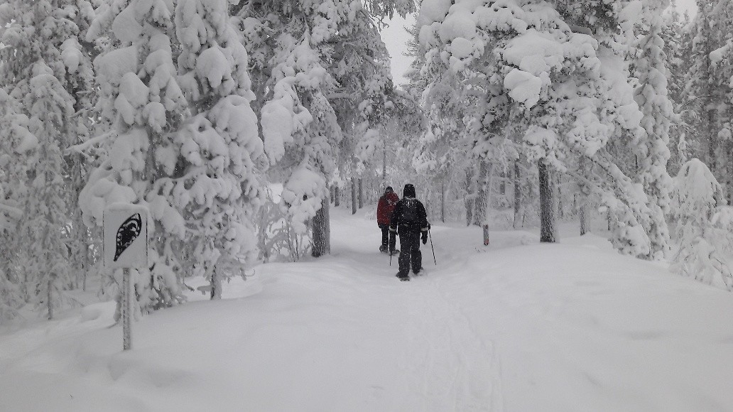 Winterse wonderwandeling