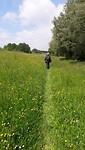 NS-wandeling over grasdijk