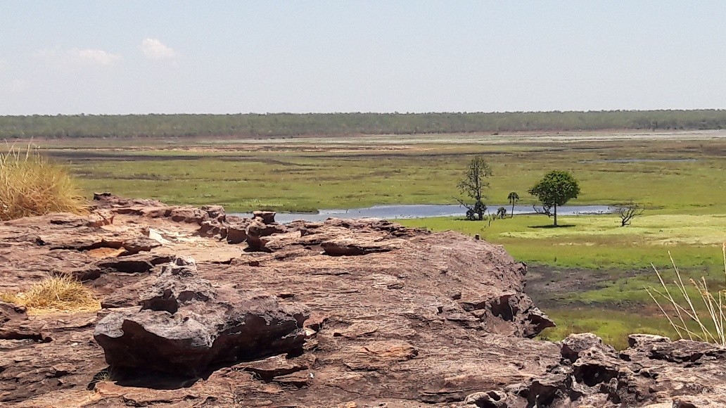 Droge 'wetlands'