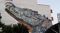Vriendje uit Darwin City