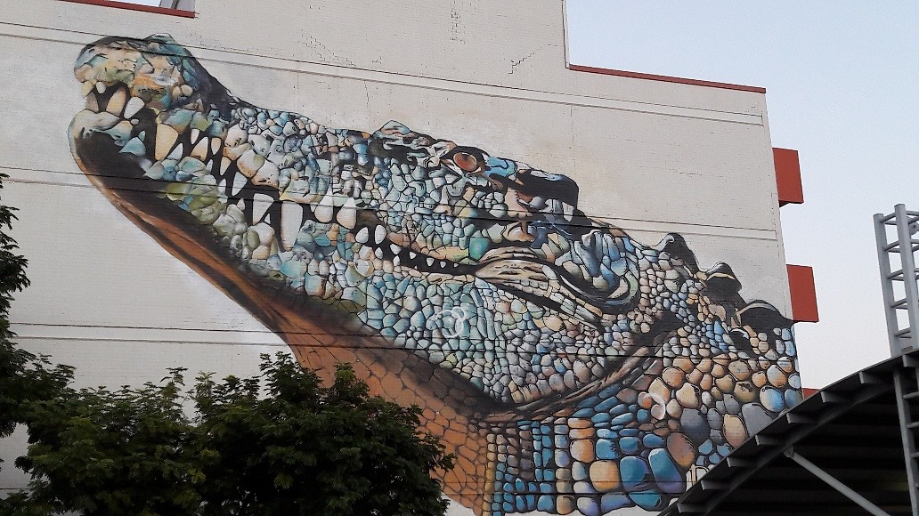 Vriendje uit Darwin City