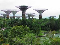 Silver Garden