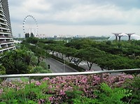 Gardens by the Bay