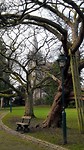 Door het park naar de markt