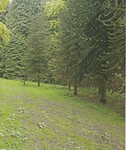 Lange wandelingen