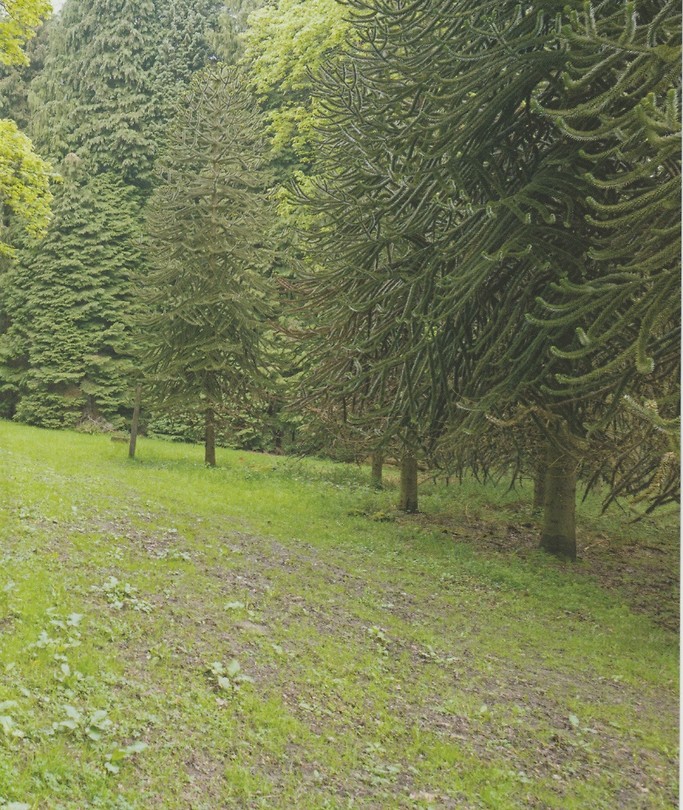 Lange wandelingen