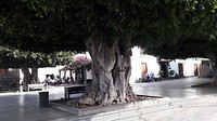 Centrum van Los Llanos de Aridane