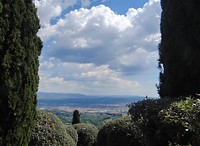 119CE578-3F83-4E6E-8074-607535943480