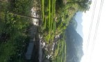 sapa