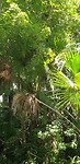 Mooi stukje natuur