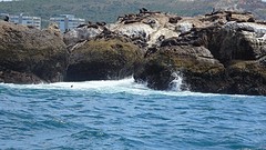 DSC00025