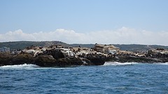 DSC00026