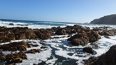 DSC00049