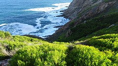 DSC00093