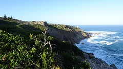 DSC00095