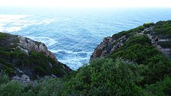DSC00097