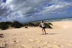 2016_0319_132740_002 355
