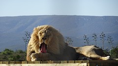 DSC00500