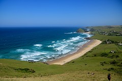 IMG_1434