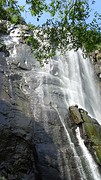 DSC00410