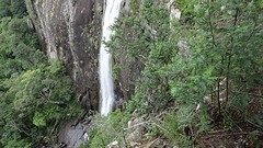 DSC00435