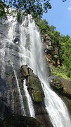 DSC00411